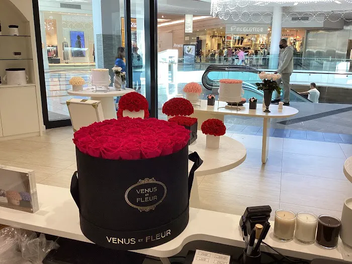Venus et Fleur- Roosevelt Field 4