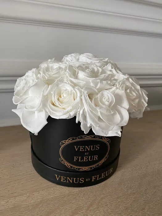 Venus et Fleur- Roosevelt Field 0