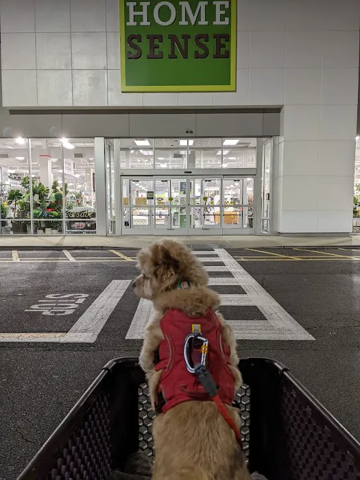 Homesense 7