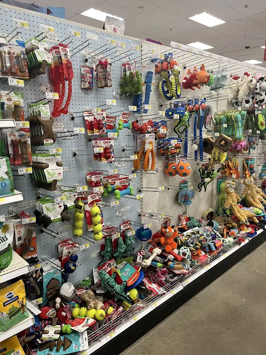 Target 8