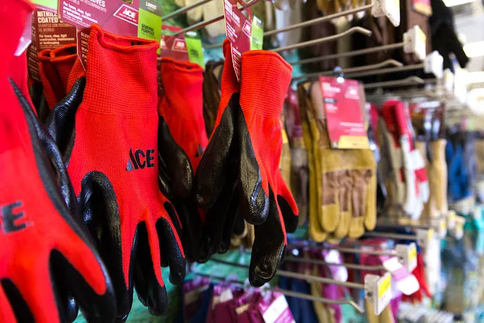 Ace Hardware of Louisville 6