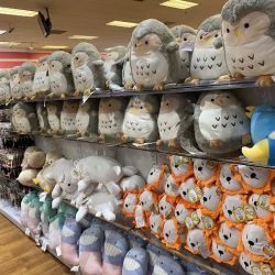 Daiso - Japanese Household Goods ico
