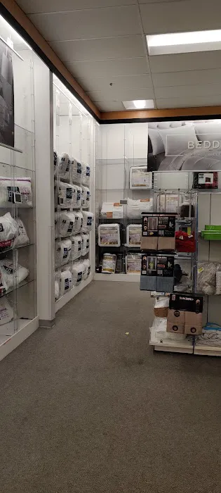 Kohl's 3