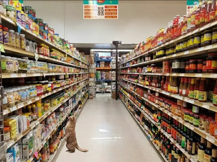 Walmart 8