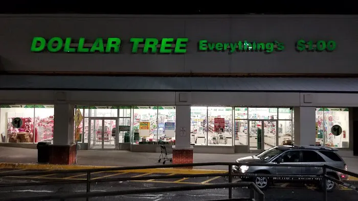 Dollar Tree 8