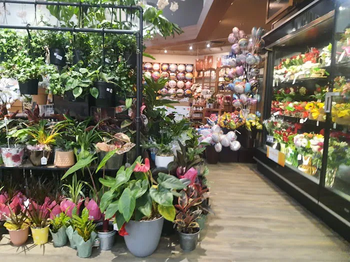 Safeway 7