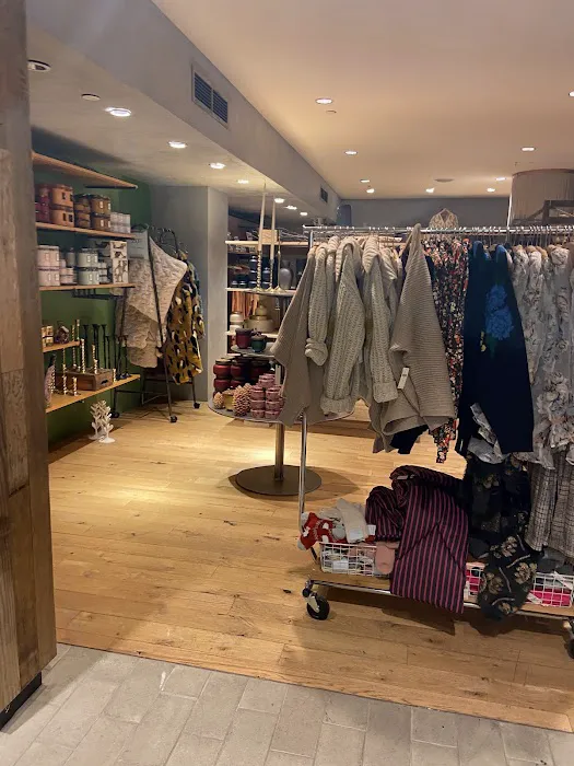 Anthropologie 4