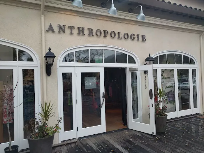 Anthropologie 1