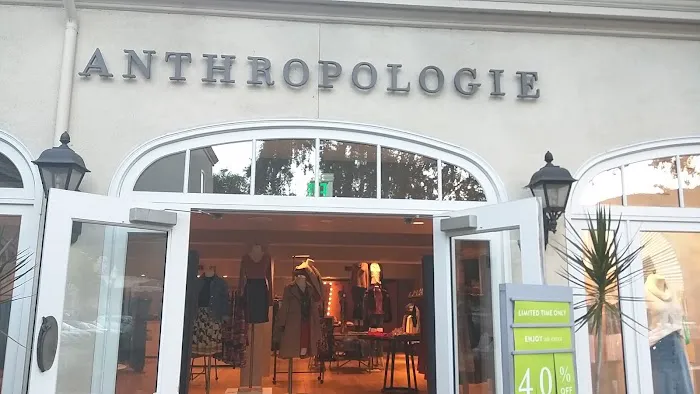 Anthropologie 3