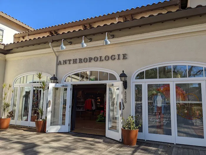 Anthropologie 0