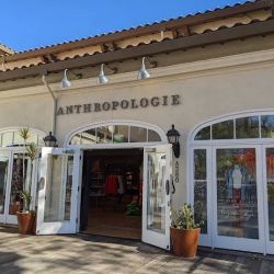 Anthropologie ico