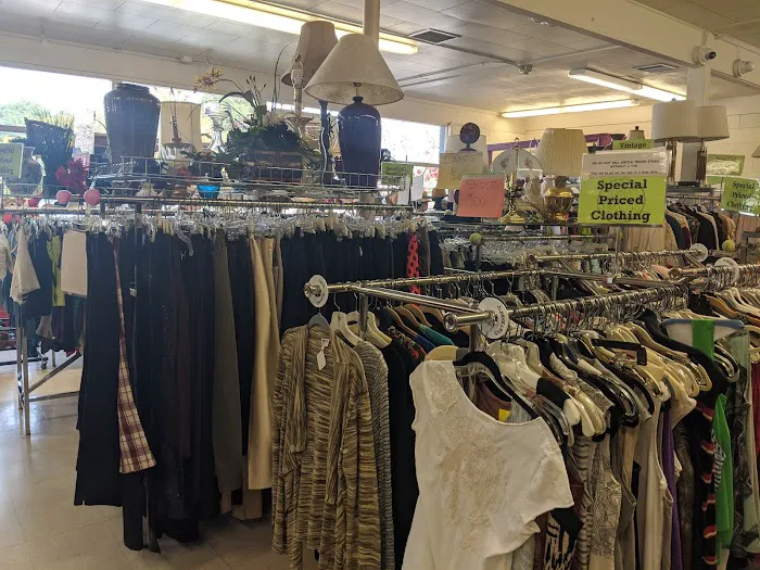 Happy Dragon Thrift Shop 8