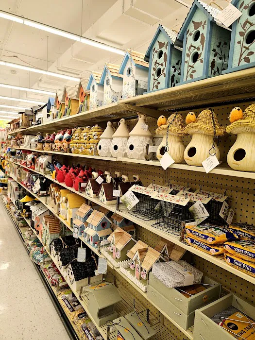 Hobby Lobby 5