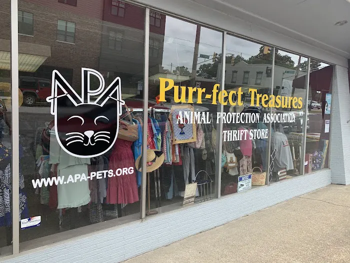 Purr-fect Treasures (Animal Protection Association Thrift Store) 2