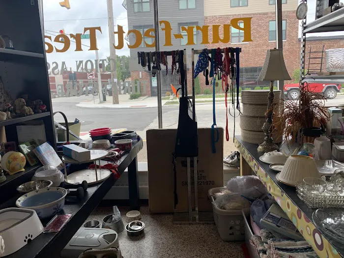 Purr-fect Treasures (Animal Protection Association Thrift Store) 7