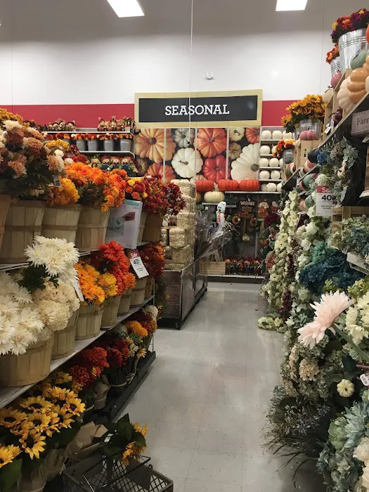 Michaels 7