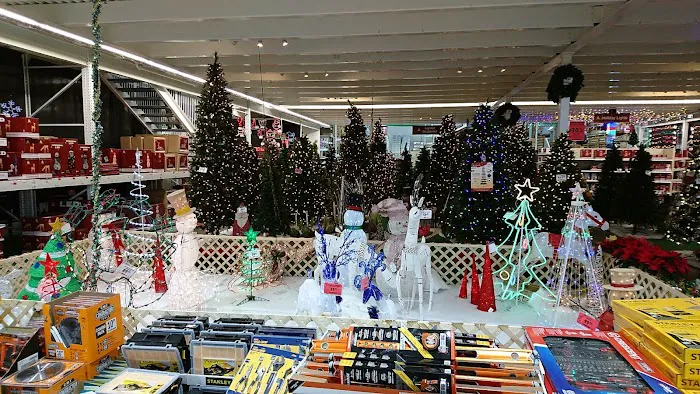 Menards 9