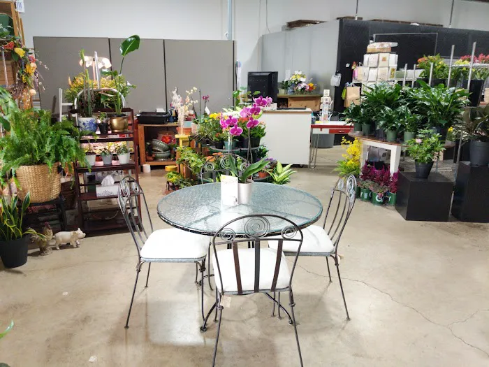 Schaaf Floral 6