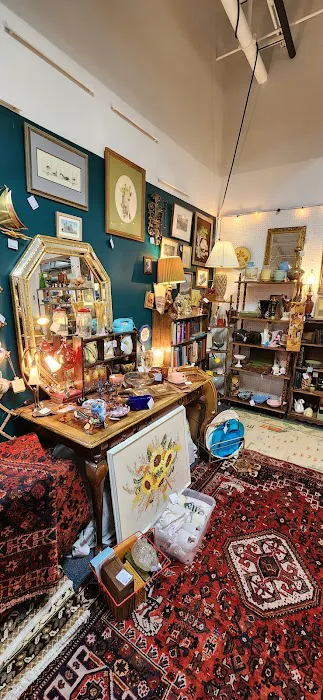 Wild Vintage Collective 1