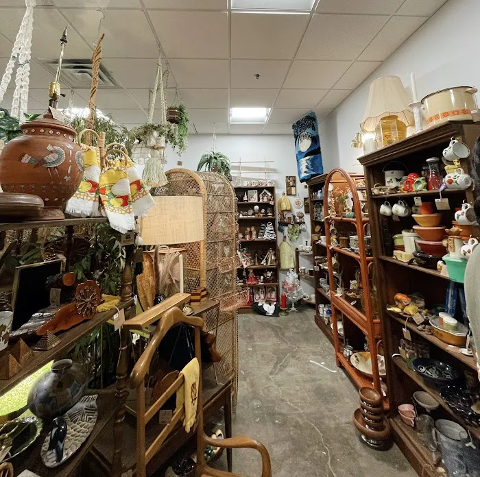 Wild Vintage Collective 4