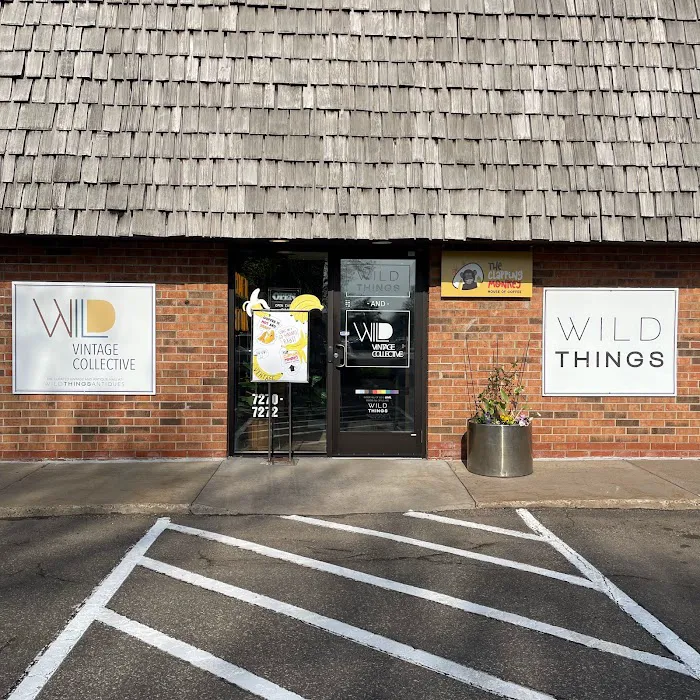 Wild Vintage Collective 3