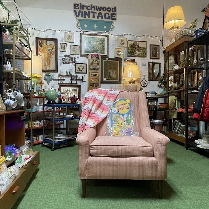 Wild Vintage Collective 6