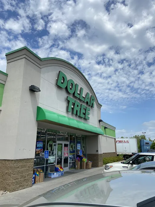 Dollar Tree 1