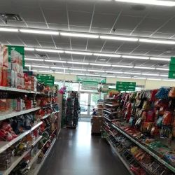 Dollar Tree ico