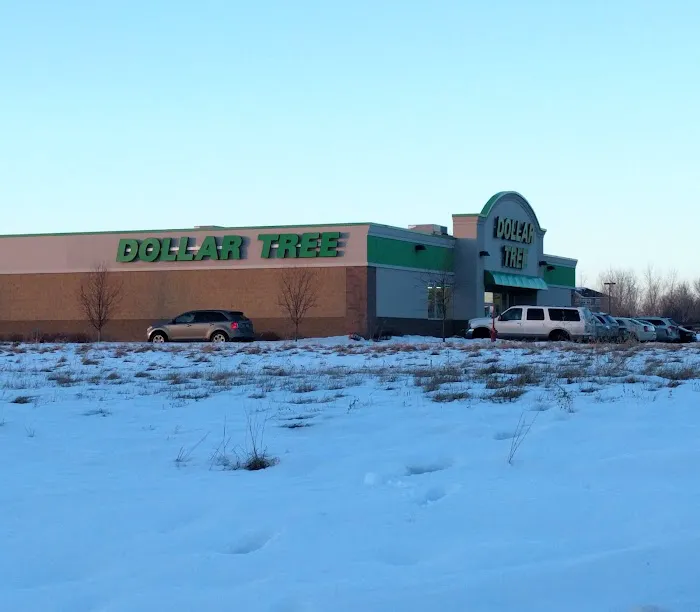Dollar Tree 4