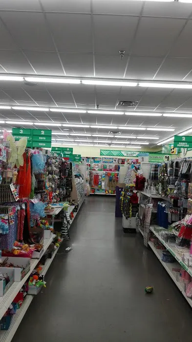 Dollar Tree 2