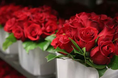 Addie Lane Floral & Gifts 2