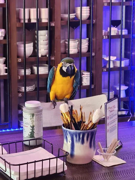 Liv Savvy Redmond - Vape, Disposables, Kratom, CBD, Pottery Classes, Hand Blown Glass, Wheel Thrown Pottery 6