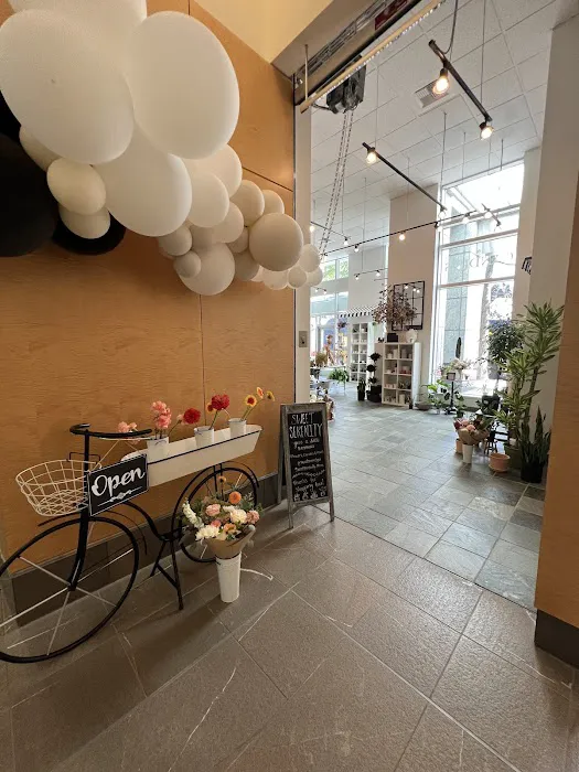 Sweet Serenity - Bellevue 5