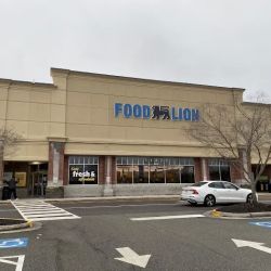Food Lion ico