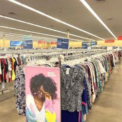 Savers ico