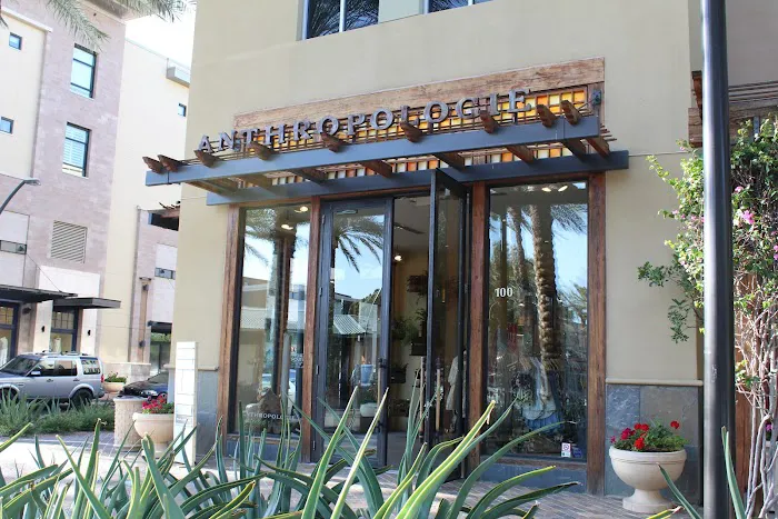Anthropologie 6