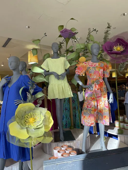 Anthropologie 2