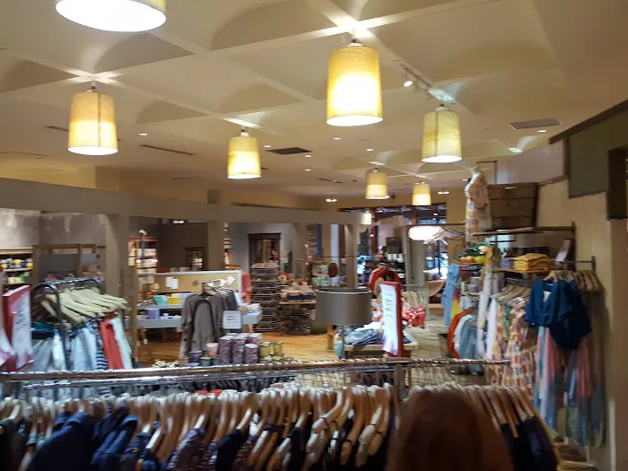 Anthropologie 3
