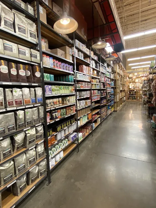 World Market 6