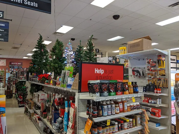 Ruggiero's Ace Hardware - Desert Foothills 3