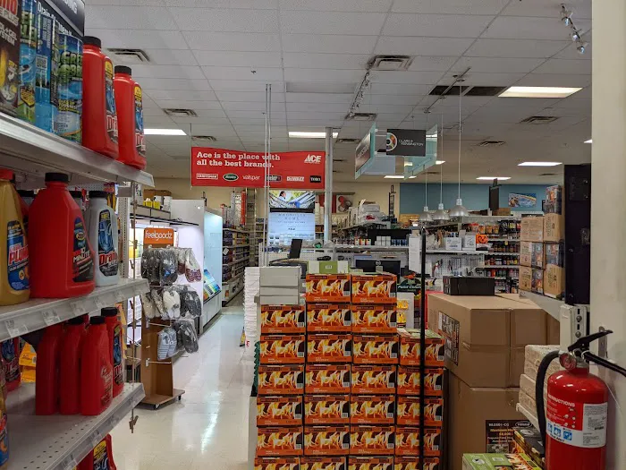 Ruggiero's Ace Hardware - Desert Foothills 5