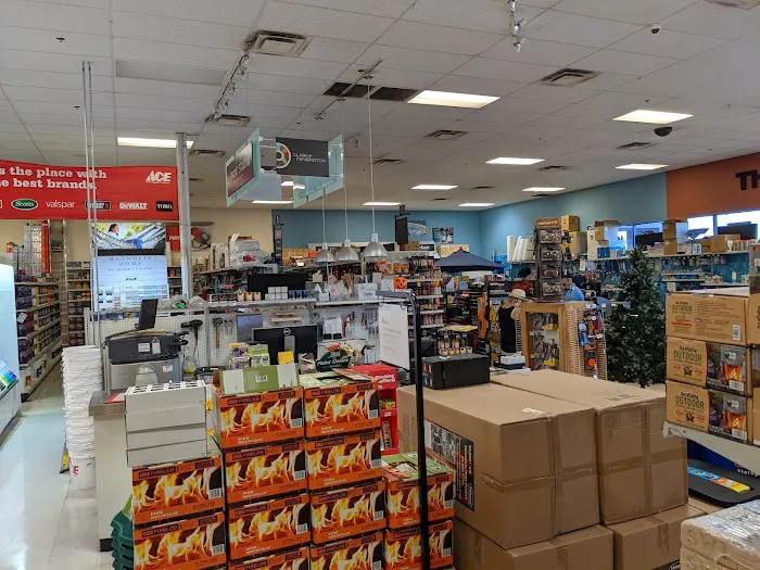 Ruggiero's Ace Hardware - Desert Foothills 6