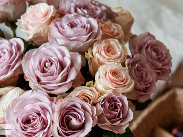 Christine’s University Flower Shop 3