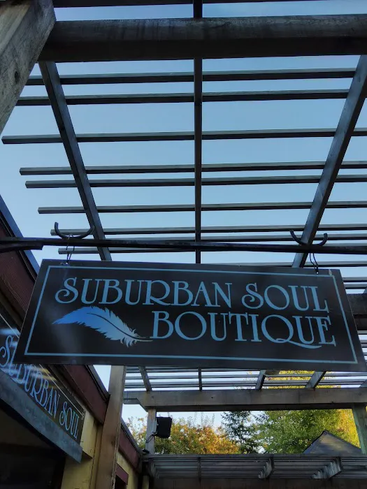 Suburban Soul 0
