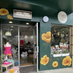 Lucky Penny General Store ico