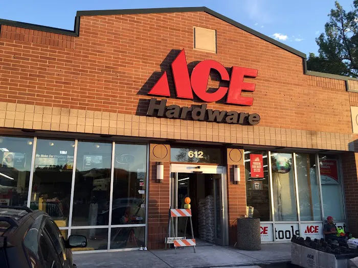 City Ace Hardware-4th South 8