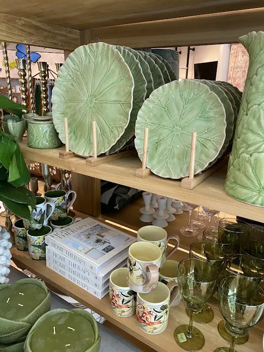 Anthropologie 5