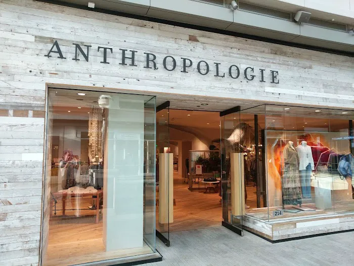 Anthropologie 4