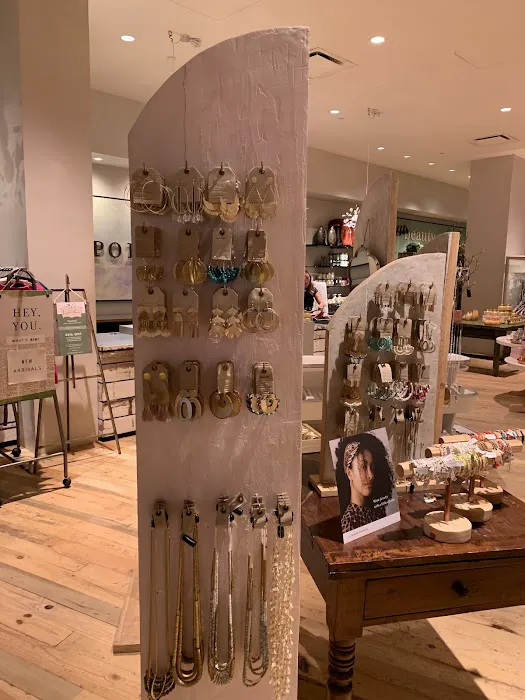 Anthropologie 6