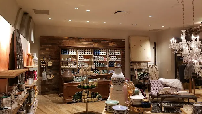 Anthropologie 2